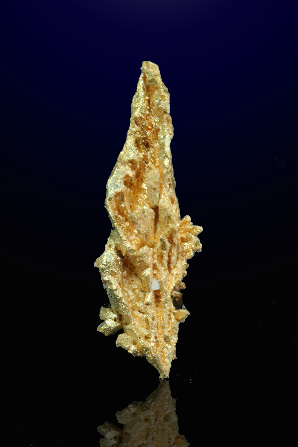 Facted Spear Gold Crystal Round Mountain gold Mine 39.00 Natural