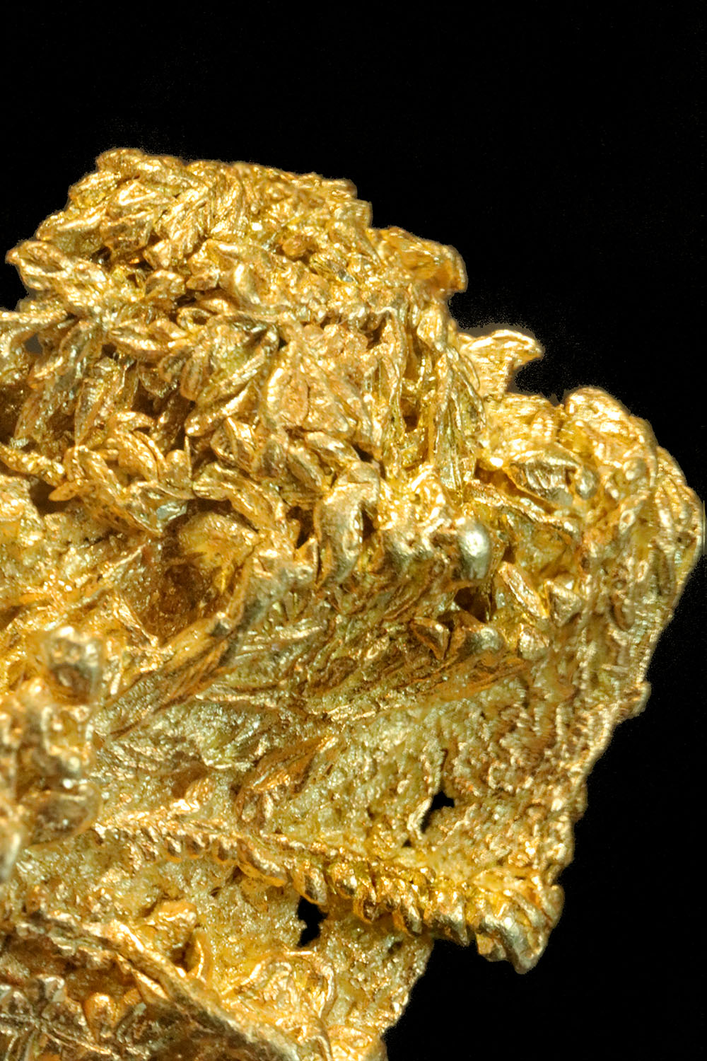 Liberty Gold Mine Gold Wire Cluster Nugget 348.00 Natural gold Nuggets For Sale Buy