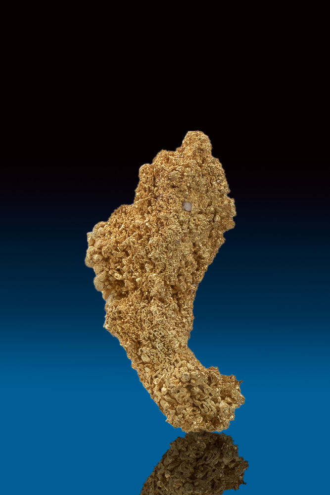 Unique Crescent Shaped Sponge Gold Nugget Ten Mile, Nevada 79.00